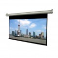 Màn chiếu Điện Dalite P250ES 250Inch