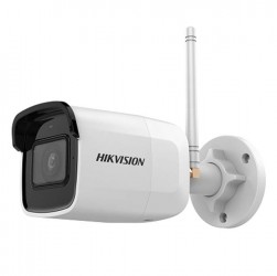 CAMERA WIFI HIKVISION DS-2CD2021G1-IDW1(D)